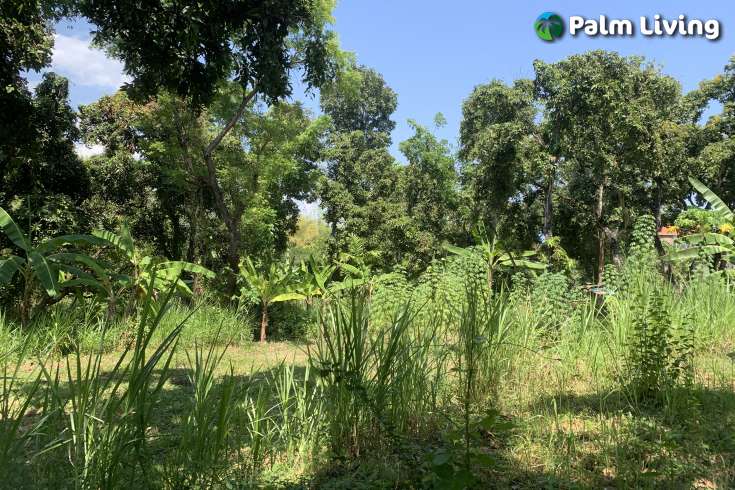 Landplot for Sale in Kaliasem