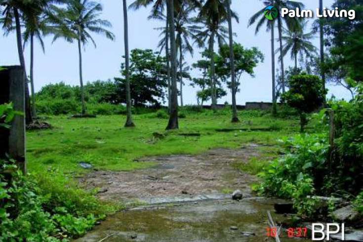 Beachfront Land For Sale in Bali