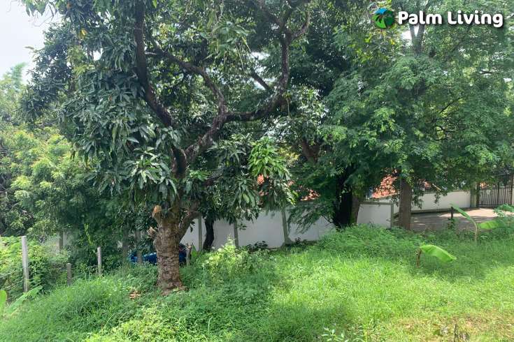 Exceptional Hillside Land Cempaga