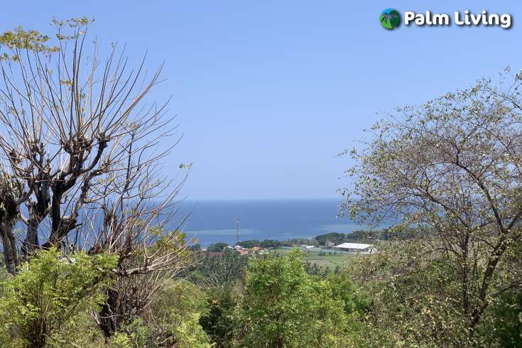 Hillside Plot with Ocean View