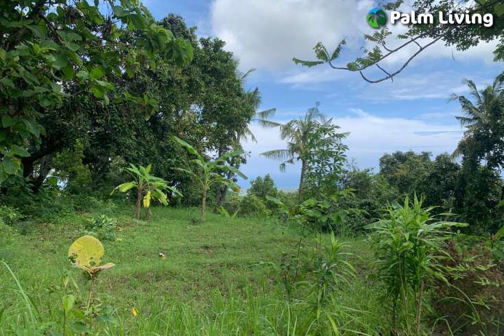 Land Plot in the Hill for Sale in Kayuputih