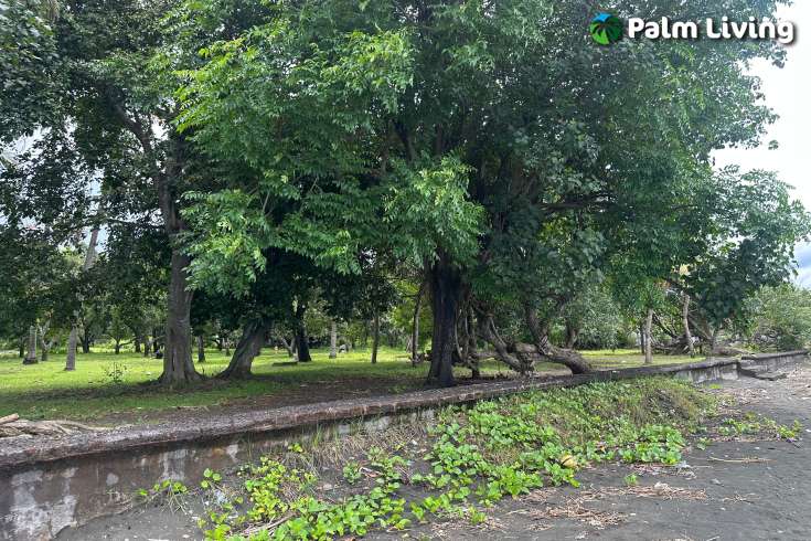 Prime Land for Sale - Development