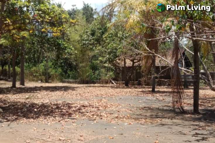 Prime Land for Sale - Development