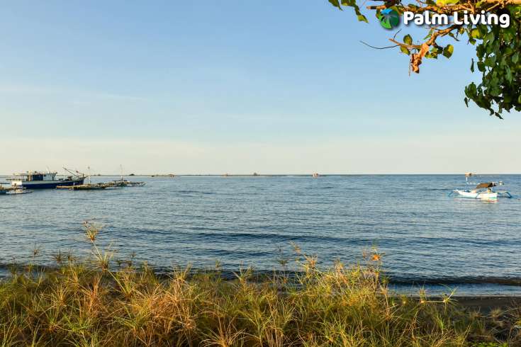Beachfront Land In Sumberkima Bali