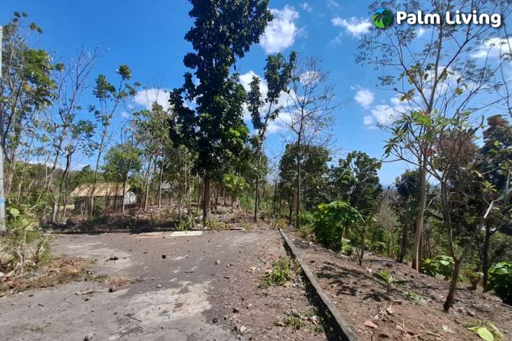 Hillside Land For Sale, North Bali