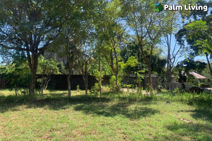 Primesized Land near Lovina for Sale