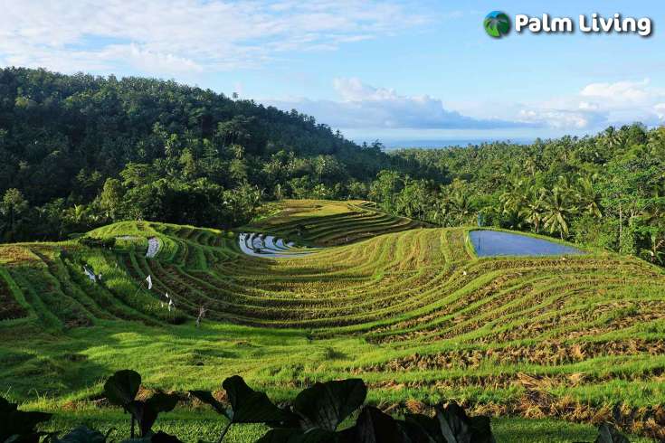 Tabanan mountain resort for sale