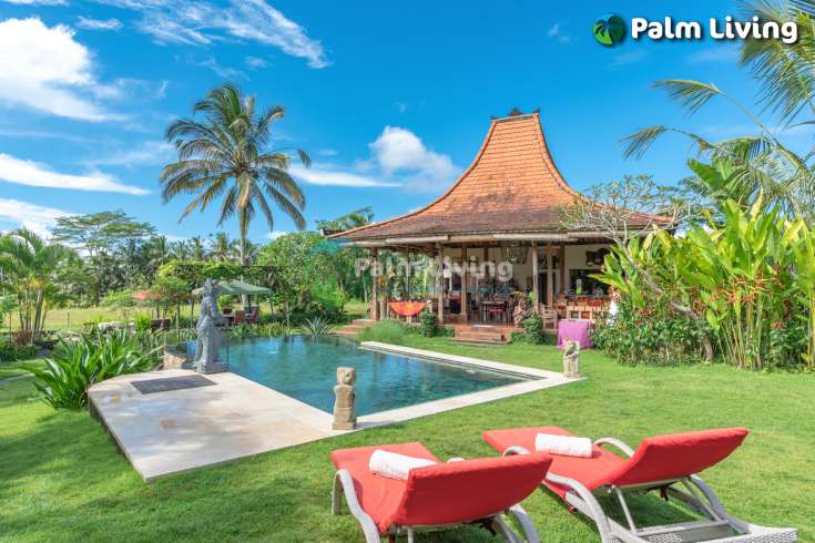 Guesthouse for Sale in Rice Fields