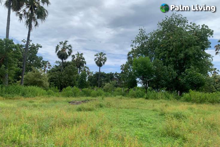 Land in Pemuteran for Leasehold