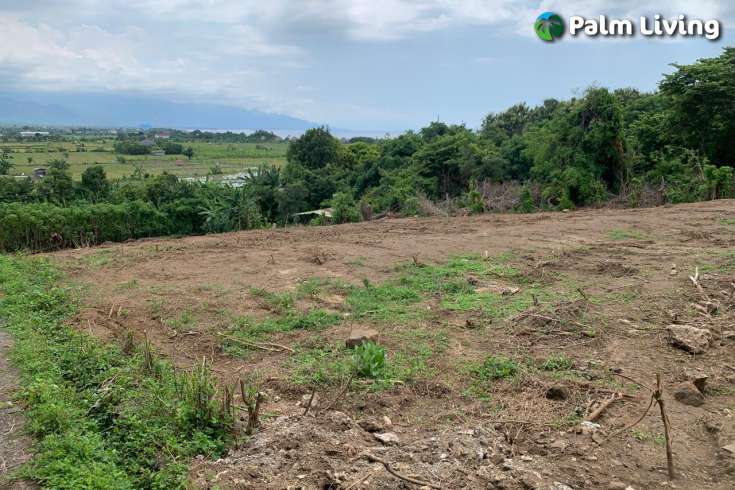 Hillside Land For Sale Bali