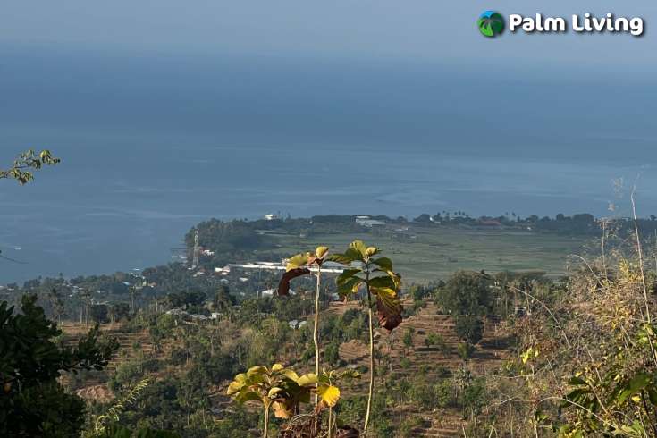 Cempaga Hillside Plot For Sale