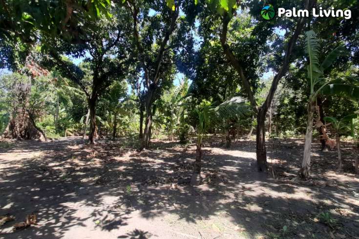 Bali Beachfront Land for sale