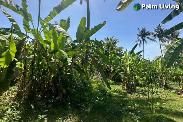 Nice Flat Land plot for Sale