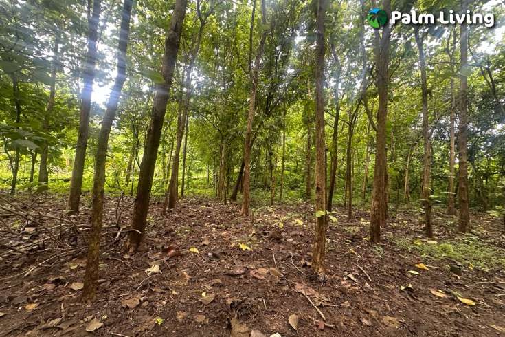 Simple & Affordable Land for Sale