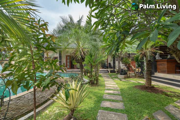 4 Luxury Apartments For Sale In Lovina