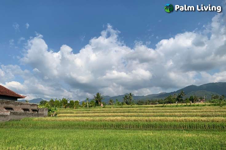 Scenic Land Plot in Panji for Sale