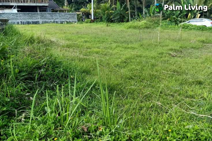 Land plot for sale in Ubud