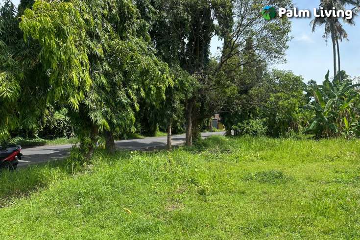 High Potential Commercial Plot for Sale