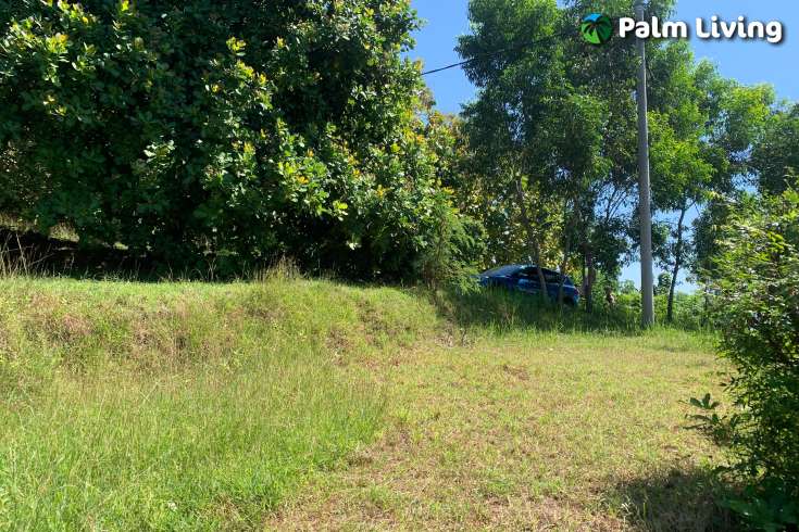 Sloping Land with Ocean & Jungle Views