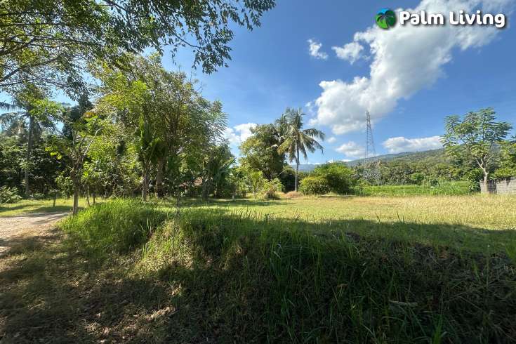Primesized Land near Lovina for Sale