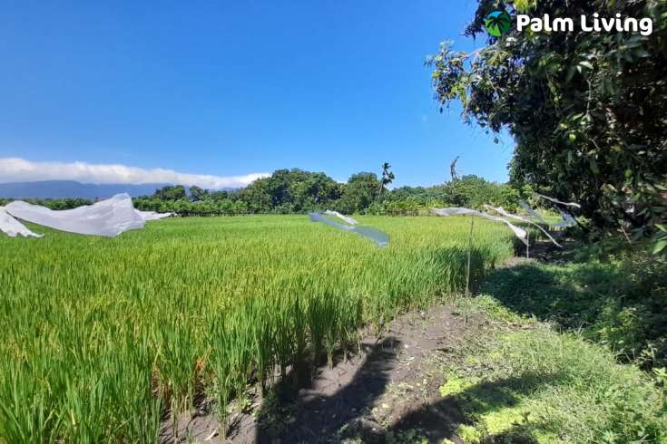 Bali Beachfront Land for sale