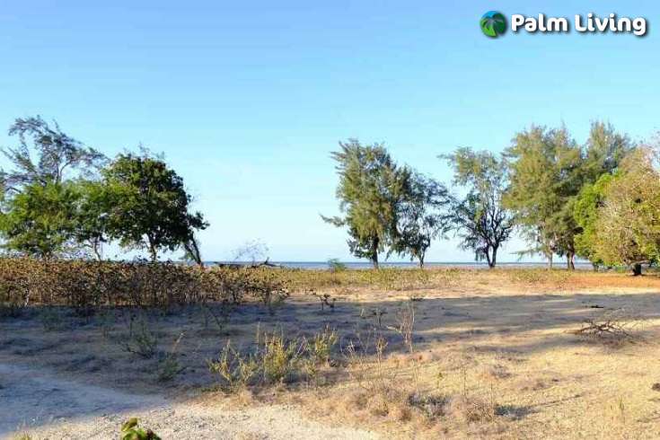 Beachfront Plots for Sale in Mondu