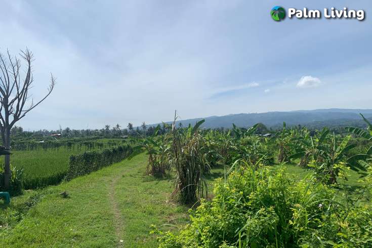 Plot for Sale with Mountain Views