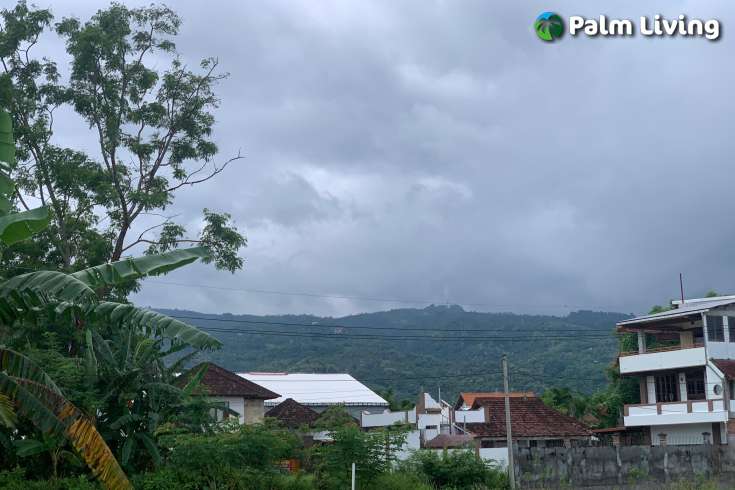 Strategic Plot in Lovina Central
