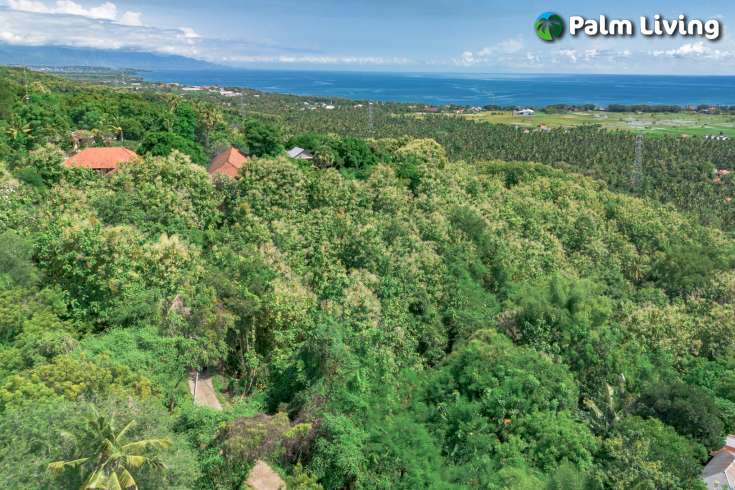 Elevated Big Plot in Kaliasem for Sale