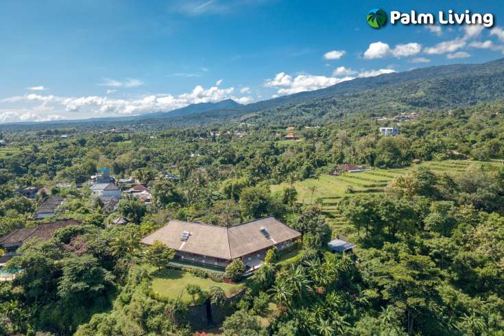 Luxury Villa For Sale in Kayuputih Lovina