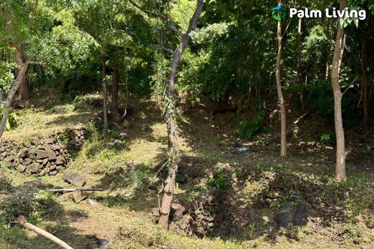 Ocean View Land for Sale in Pacung, North Bali