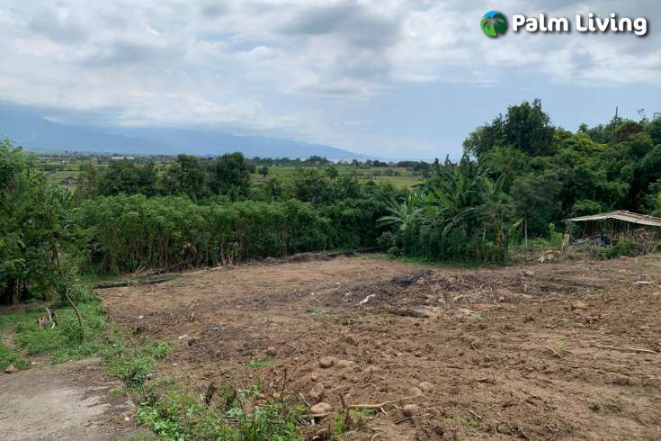 Hillside Land For Sale Bali