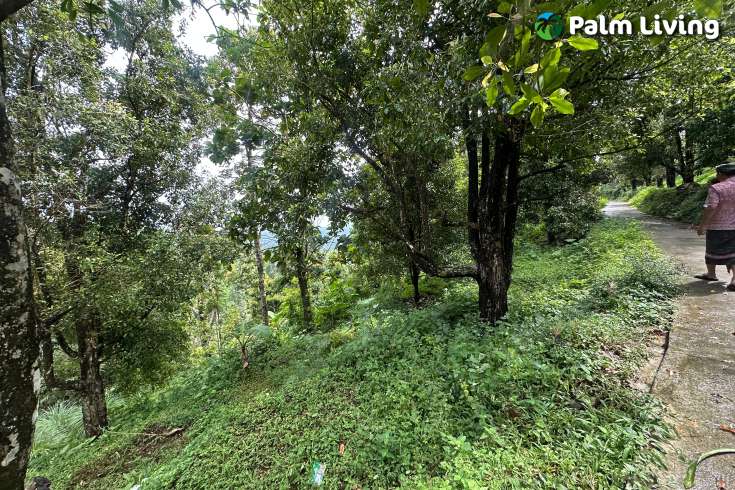 Land For Sale in Panji with Beautiful Sea View