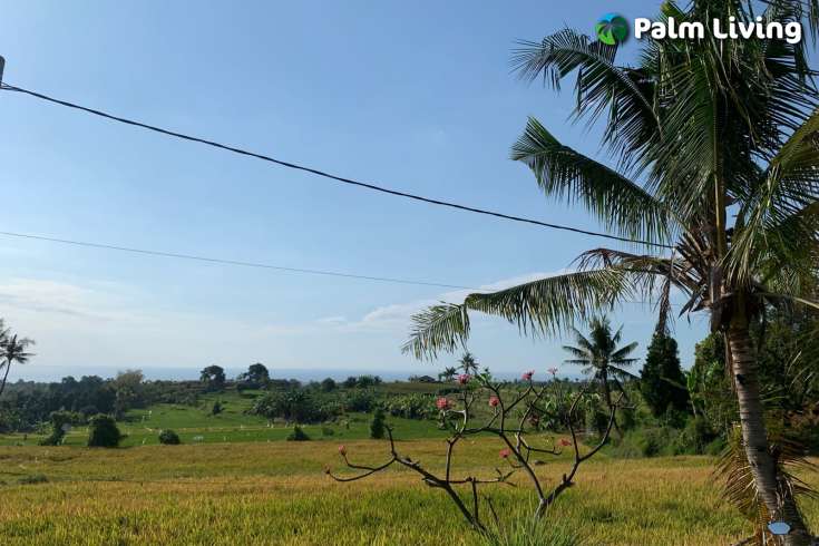 Scenic Land Plot in Panji for Sale