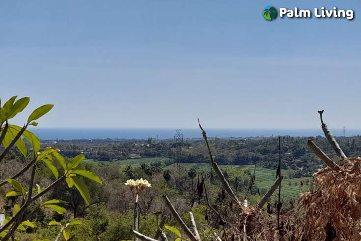 Hillside Land For Sale, North Bali