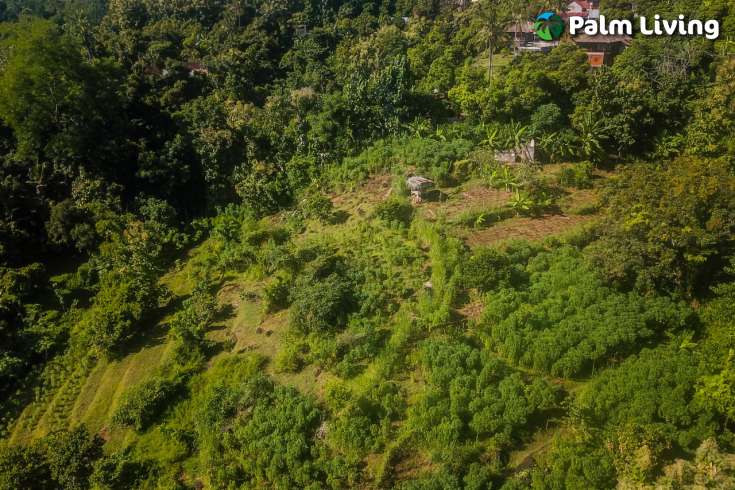 Hillside Land close to Central Lovina