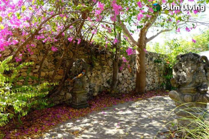 Hillside Villa for Sale in Padadita, East Sumba
