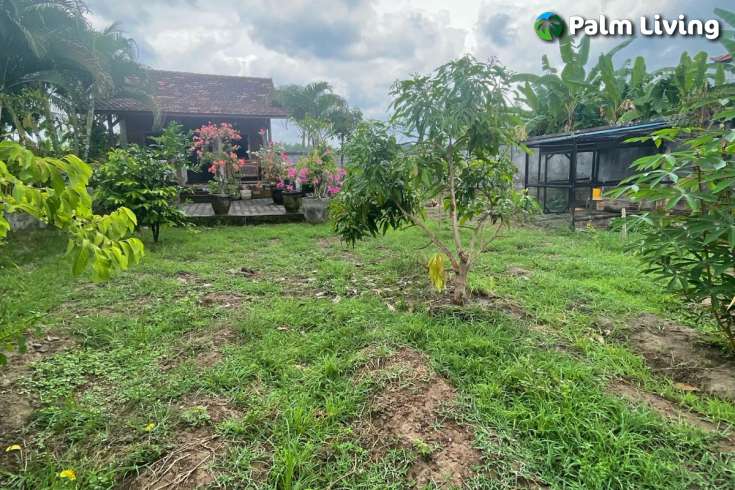 Unique Villa For Sale Near Keramas Beach