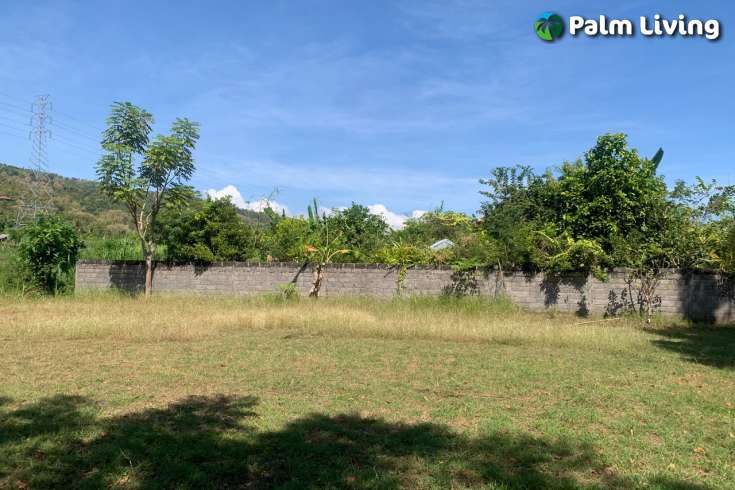 Primesized Land near Lovina for Sale