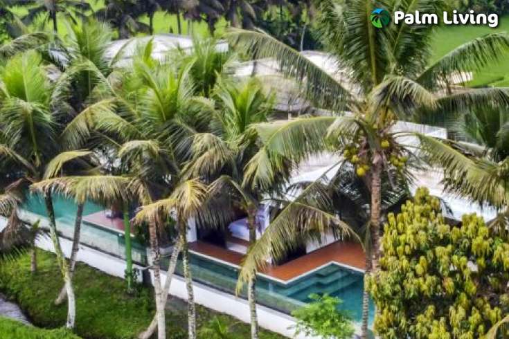Brand New and Modern Villa for Sale in Ubud