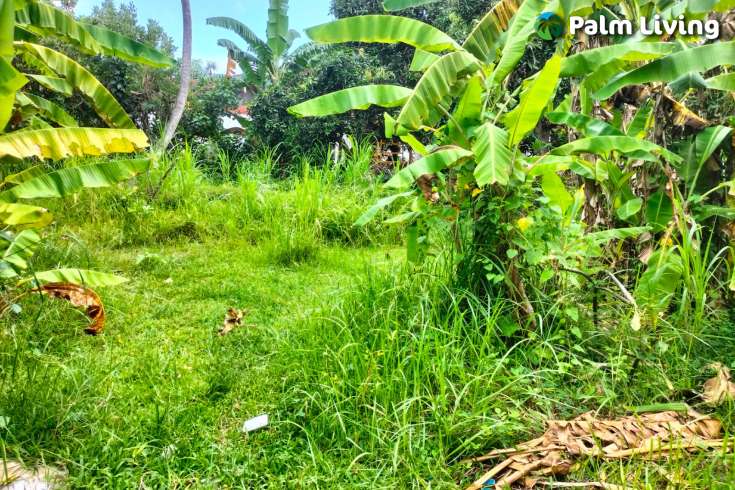 Prime Land in Kaliasem for Sale