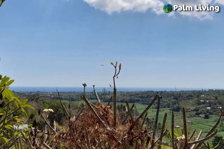 Hillside Land For Sale, North Bali