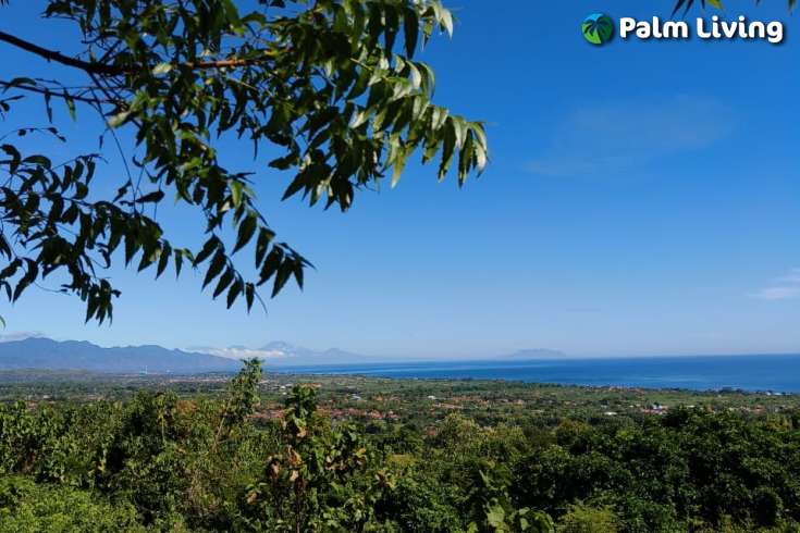 Land for sale in Dencarik Hill, Lovina
