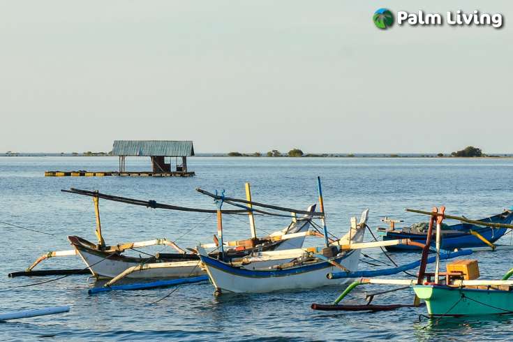 Beachfront Land In Sumberkima Bali