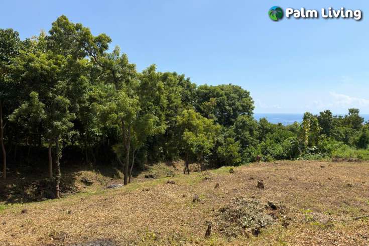 Ocean View Land for Sale in Pacung, North Bali