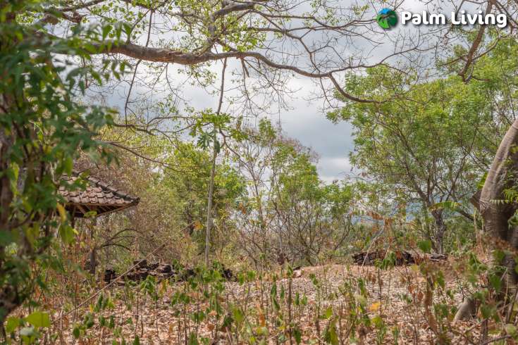 Perfect Land Plot close to Central Lovina