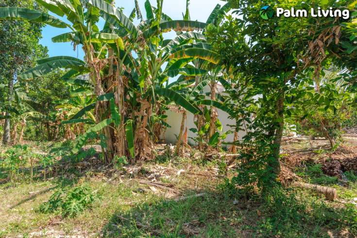Two Private Villa with Spacious Landplot