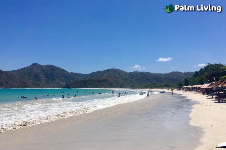 Attractive Land in South Lombok for Sale