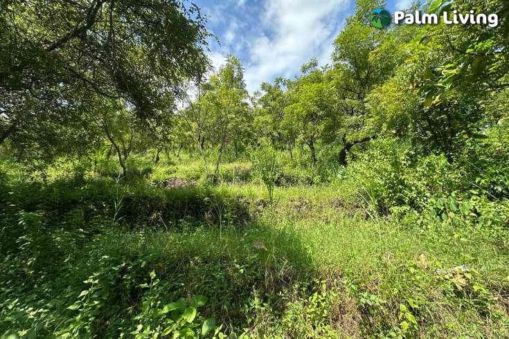 Elevated Big Plot in Kaliasem for Sale
