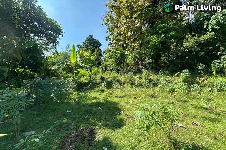Hillside Plot in Kayuputih for Sale